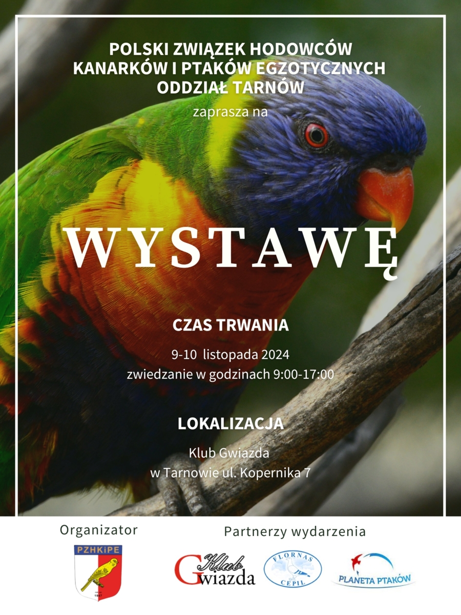Plakat wystawy kanarków i ptaków egzotycznych